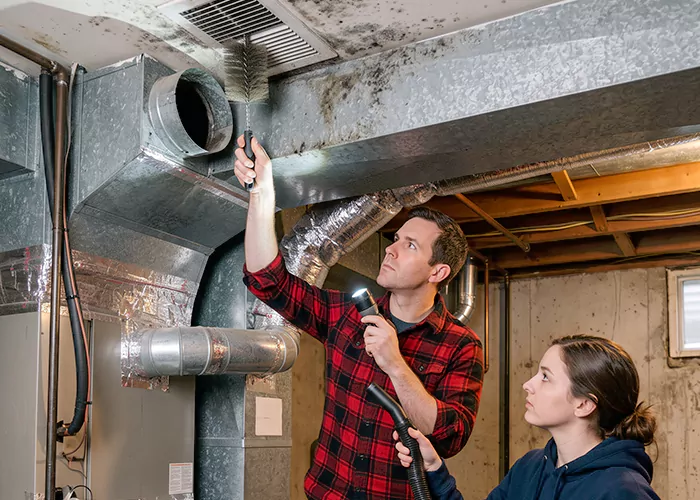 Premier HVAC Mold Remediation Company in Arlington